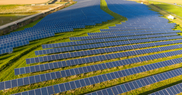 How Businesses Can Make The Shift To Renewable Energy