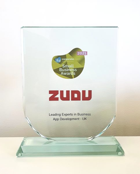 Zudu's glass winner's trophy in the category of Leading Experts in Business App Development in the UK